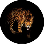 The Leopard