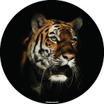 Twilight Tiger